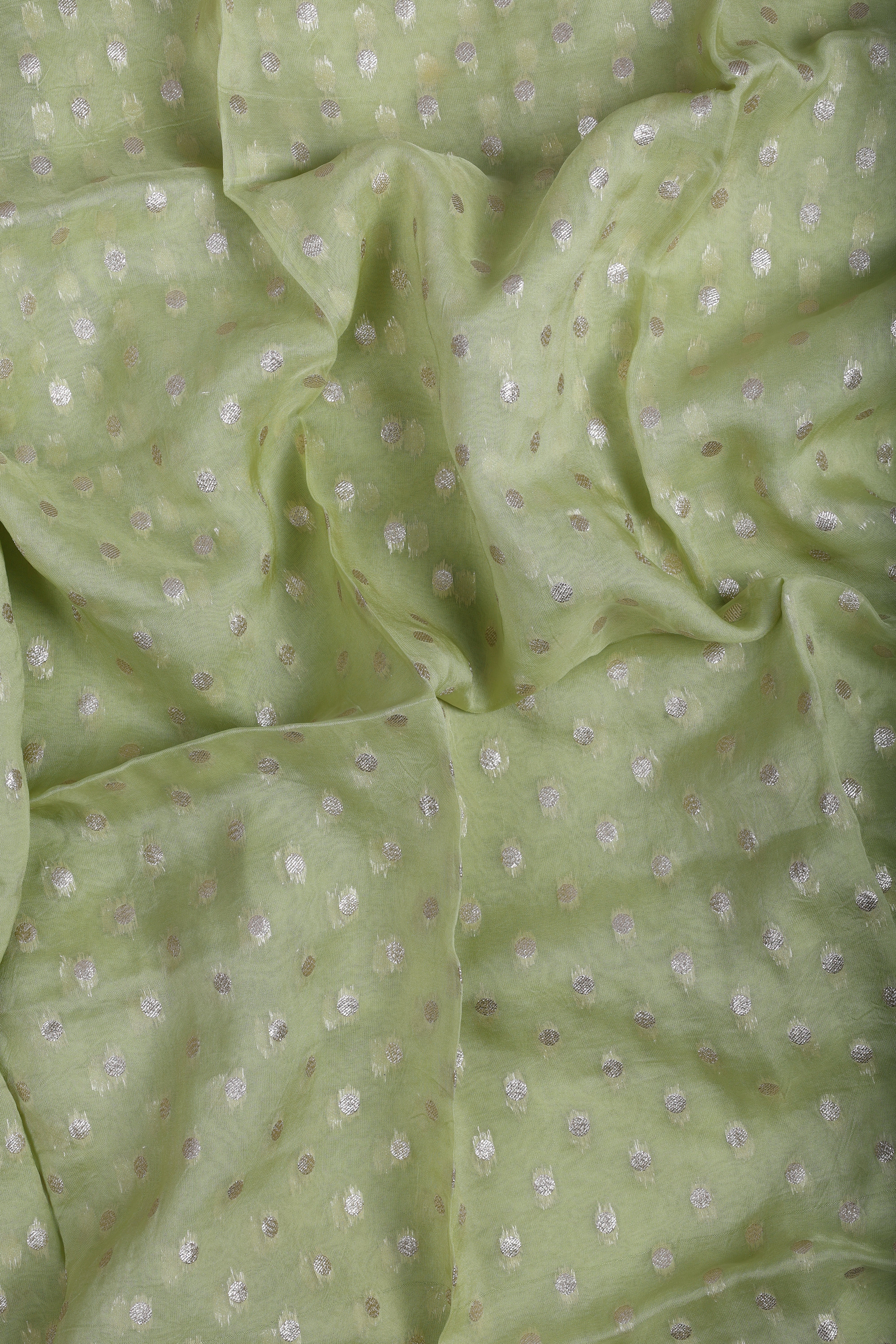 Pistachio Banarsi Organza Suit Set