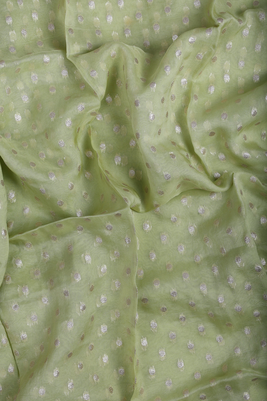 Pistachio Banarsi Organza Suit Set